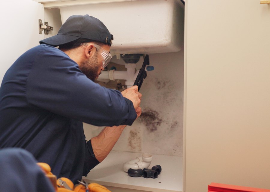 Rose Handyman & Painting handyman service in Kent, WA