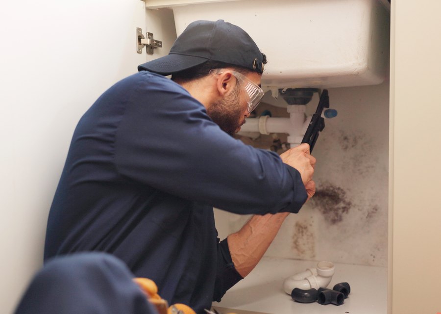 Andromeda Handyman Services handyman service in Alexandria, VA